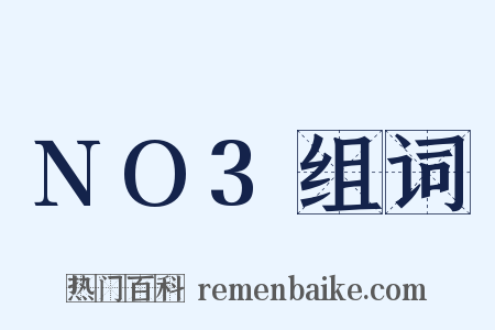 NO3组词是什么意思的图片